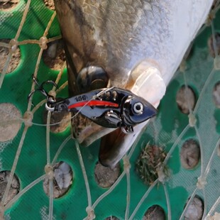 海豚vib金属15g路亚饵爆款全泳层小体型大克重腐败塘远投巧嘴专用