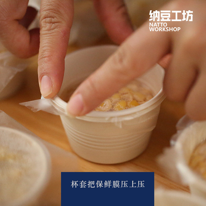 一次性玉米淀粉纳豆发酵杯 纳豆分装杯 纳豆盒 可降解