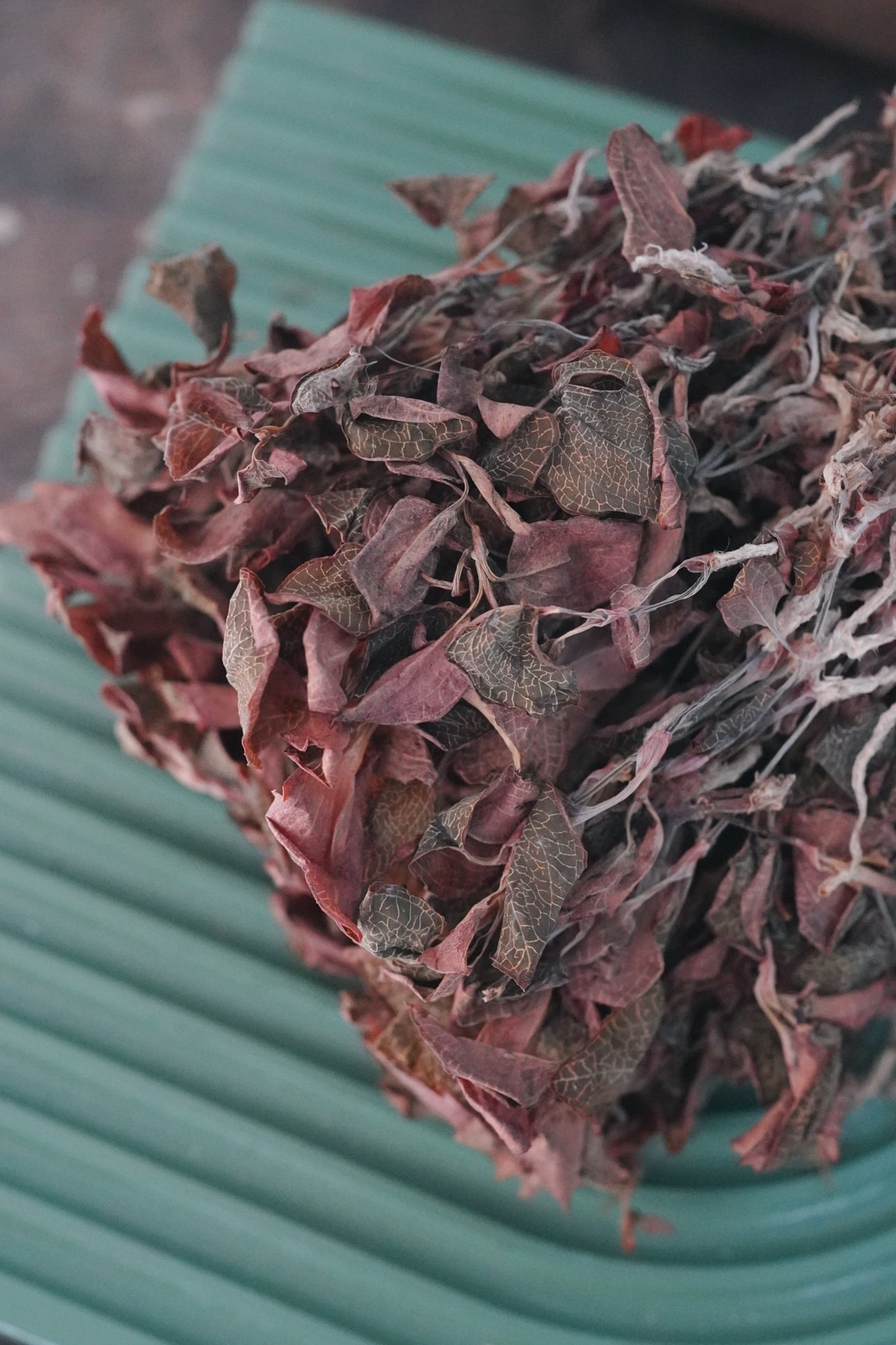 「皓妈靓汤」福建金线莲  A级 50克,粮油调味/速食/干货/烘焙,特色干货及养生干料,淘宝优惠券,粉丝福利购,淘宝优惠卷