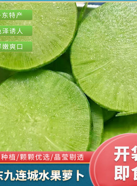 辽宁丹东特产九连城水果萝卜新鲜蔬菜即食甜脆爽口清香无添加萝卜