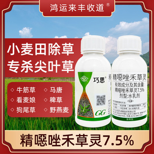 国光巧思除草剂精噁唑禾草灵农药杂草牛筋草小麦田除草专用剂正品