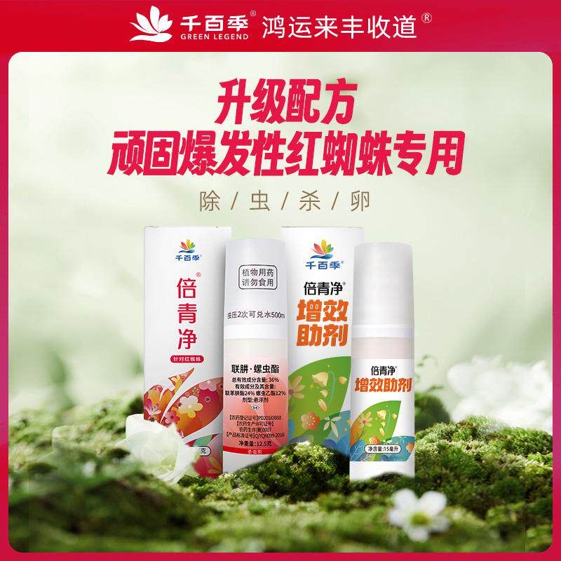 正品千百季倍青净36%联肼螺虫乙酯家庭园艺月季红蜘蛛专用杀虫剂