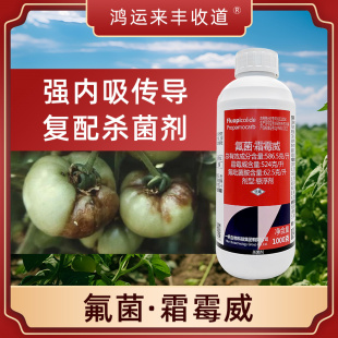 一帆叶青霜杀菌剂农药正品番茄晚疫病586.5克/升氟菌霜霉威悬浮剂