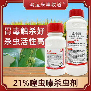 水稻飞虱杀虫药 噻虫嗪21%农药大全苹果树小麦蚜虫专用杀虫剂正品