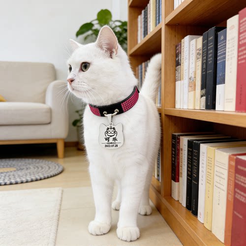 满钻防丢刻字牌宠物项圈猫咪颈绳
