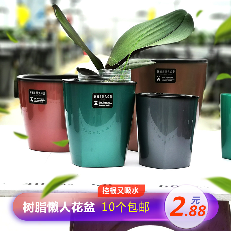 兰花盆吸水盆懒人盆蝴蝶兰盆