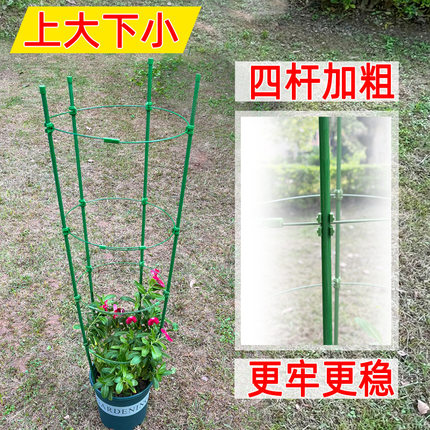 爬藤架子铁线莲花架月季花支架花盆栽植物攀爬架室内固定花支撑杆