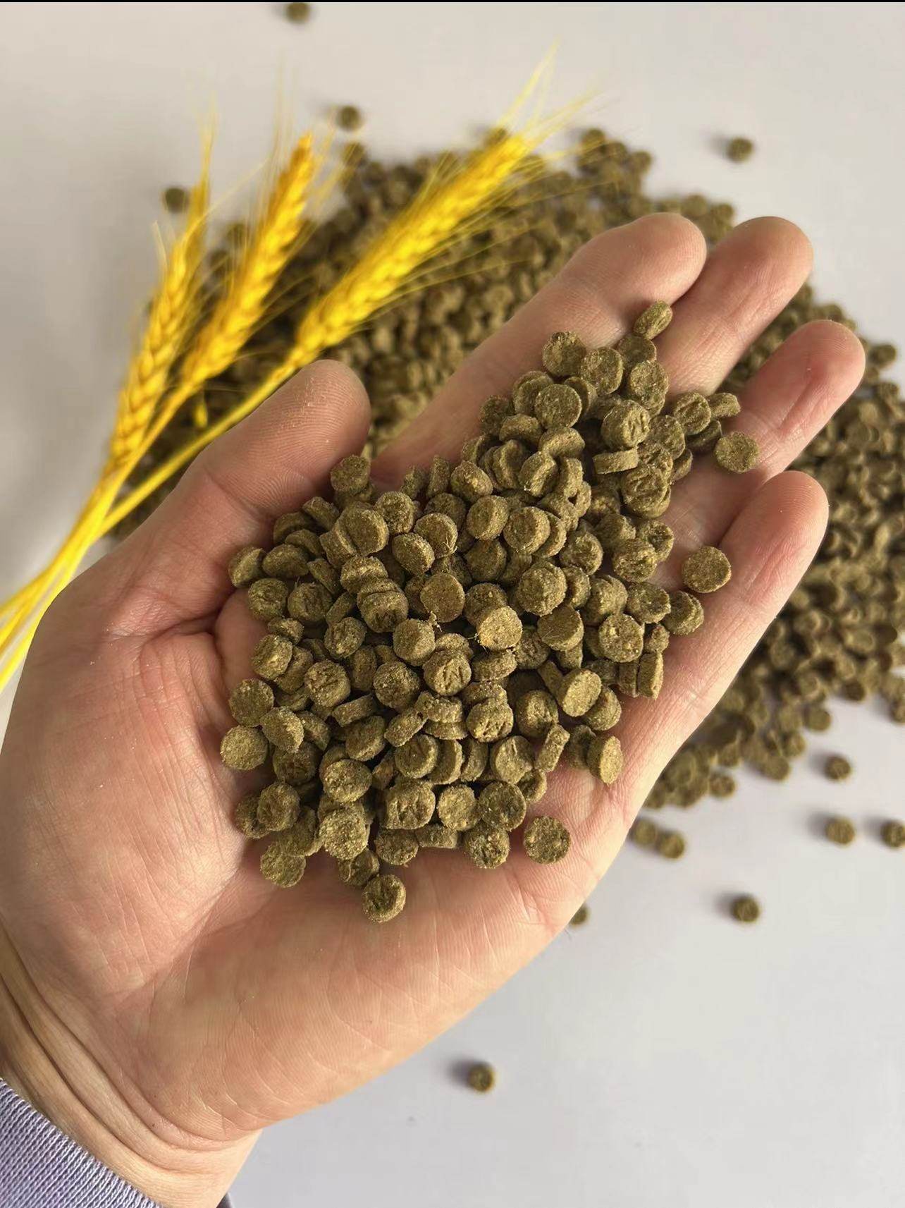 低温烘焙猫粮5斤 先咨询客服如何食用后再下单  完全锁住营养成分