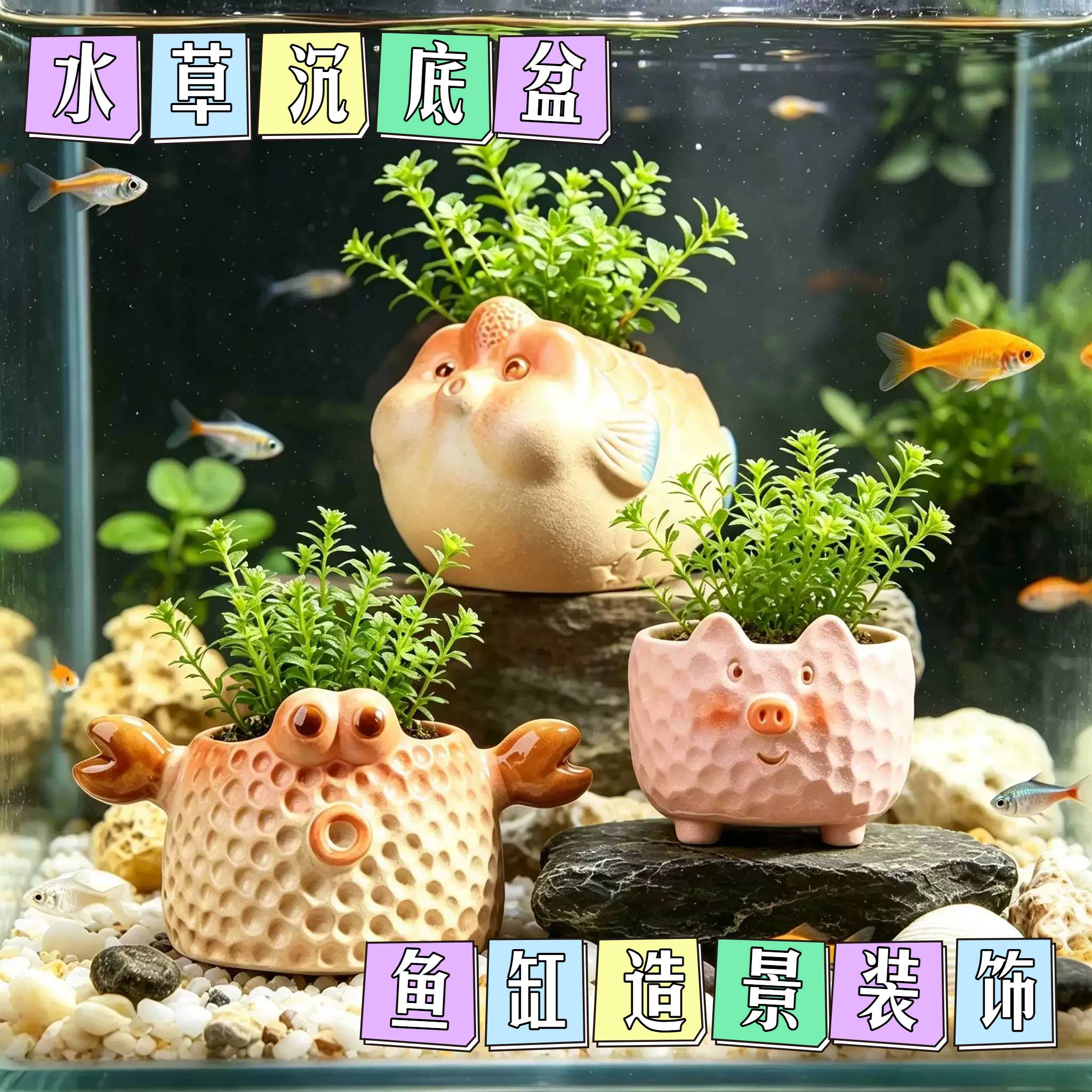 水草沉底盆鱼缸造景小卡通创意动物陶土粗陶控根多肉小花盆