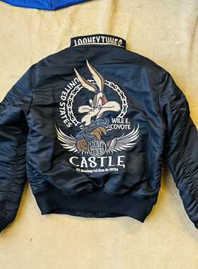 通勤王鲁尼Looney飞行夹克秋冬棉服新雪丽多袋男女立翻领刺绣棉服