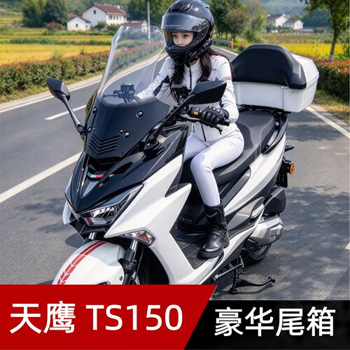 适用天鹰TS/TX150/250摩托车尾箱踏板改装豪华后备箱TY150T皮靠背