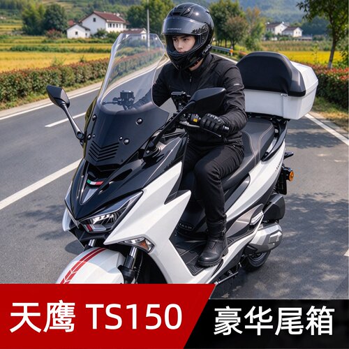 适配天鹰TS/TX150/250摩托车尾箱踏板改装豪华后备箱TY150T货支架