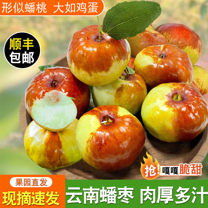云南蟠枣新鲜现摘蜜罐枣非大荔冬枣脆甜青枣孕妇当季大果整箱包邮