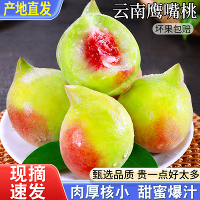 正宗云南鹰嘴桃新鲜现摘10斤水蜜桃脆甜毛桃子孕妇应季水果非连平