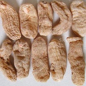 云南小草坝昭通天麻仿野生250g