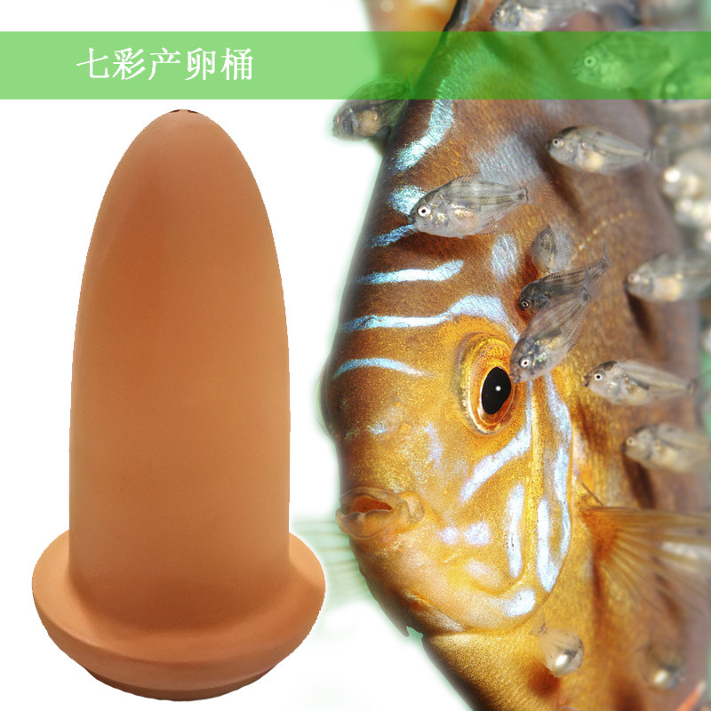 七彩神仙鱼产卵筒 螯虾虾窝 异形繁殖罐鲷罐 小型慈鲷产卵专用
