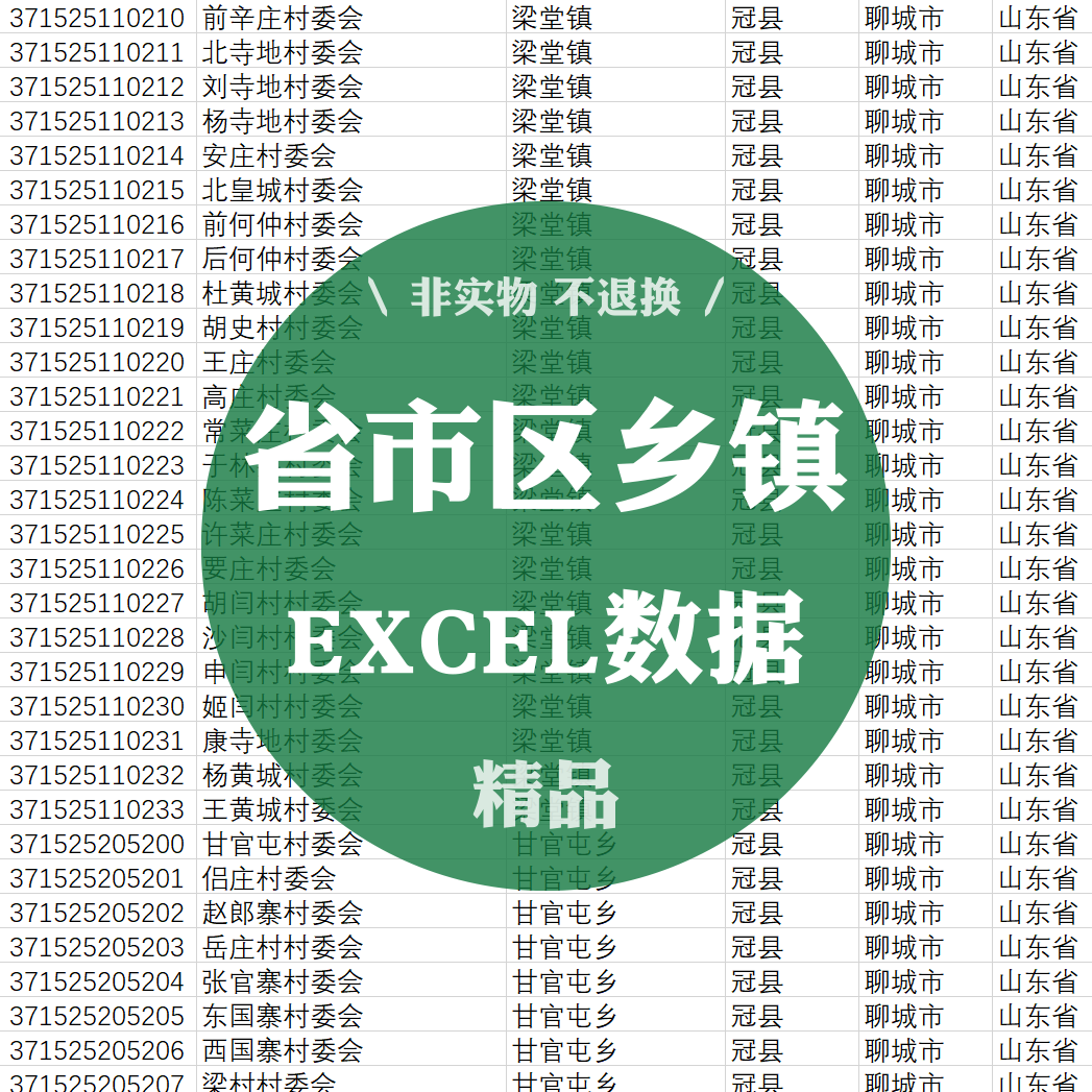 XLS001省市区乡镇街道村五级区域划分代码地区EXCEL数据表格信息