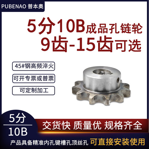 普本奥5分10B成品孔链轮