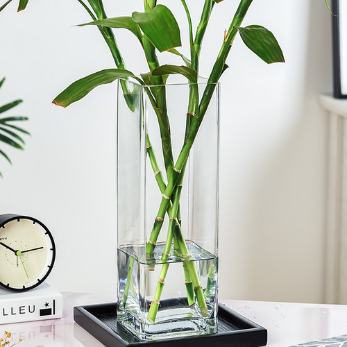 方形直筒大号水培富贵竹玻璃花瓶