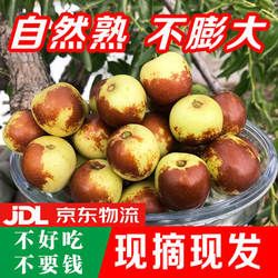 京东上门沧州黄骅冬枣大果现摘新鲜五斤包邮时令水果大枣孕妇甜