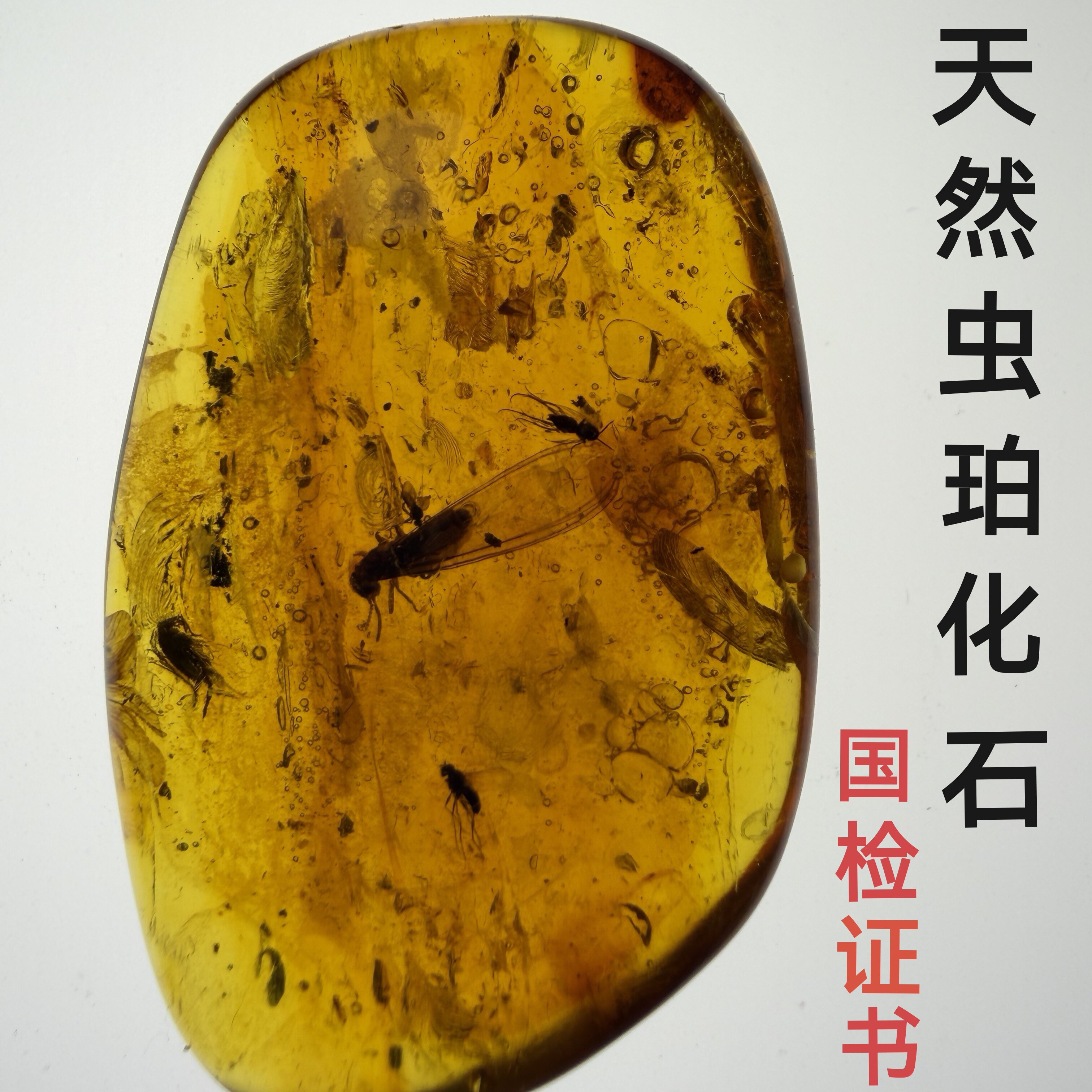 天然虫珀琥珀化石昆虫标本灵珀教学收藏风景花珀孤品 附国检证书