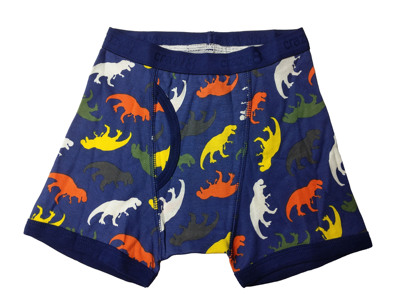 男童恐龙全棉平脚内裤