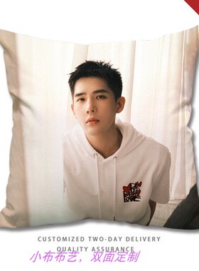 定制百岁之好一言为定王安宇周边抱枕明星同款海报写真方形靠垫