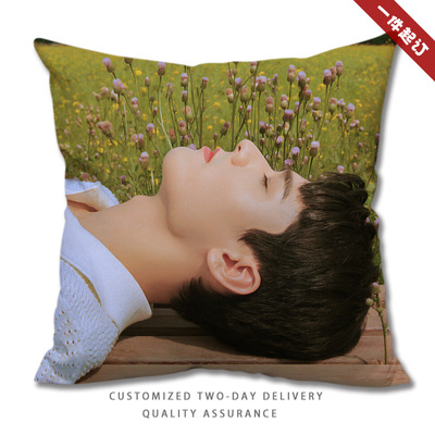 龚俊腹肌海报写真野兽派靠垫抱枕