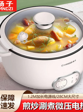 扬子电煮锅电炒锅煮面锅