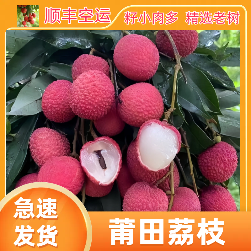 顺丰空运莆田荔枝状元红5斤小籽糯米糍现摘现发超大果礼盒装送礼
