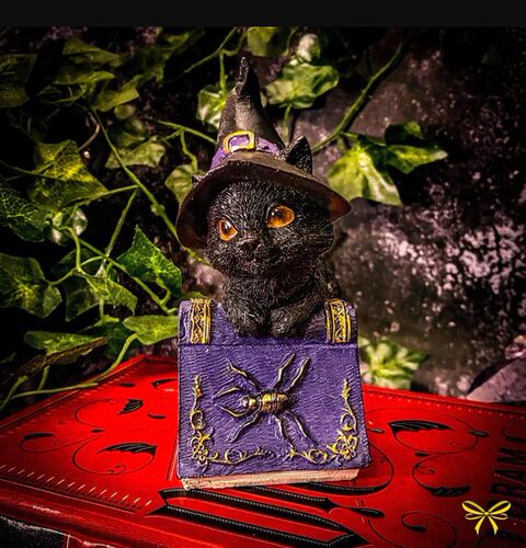 nemesisnowpocus哥特小黑猫