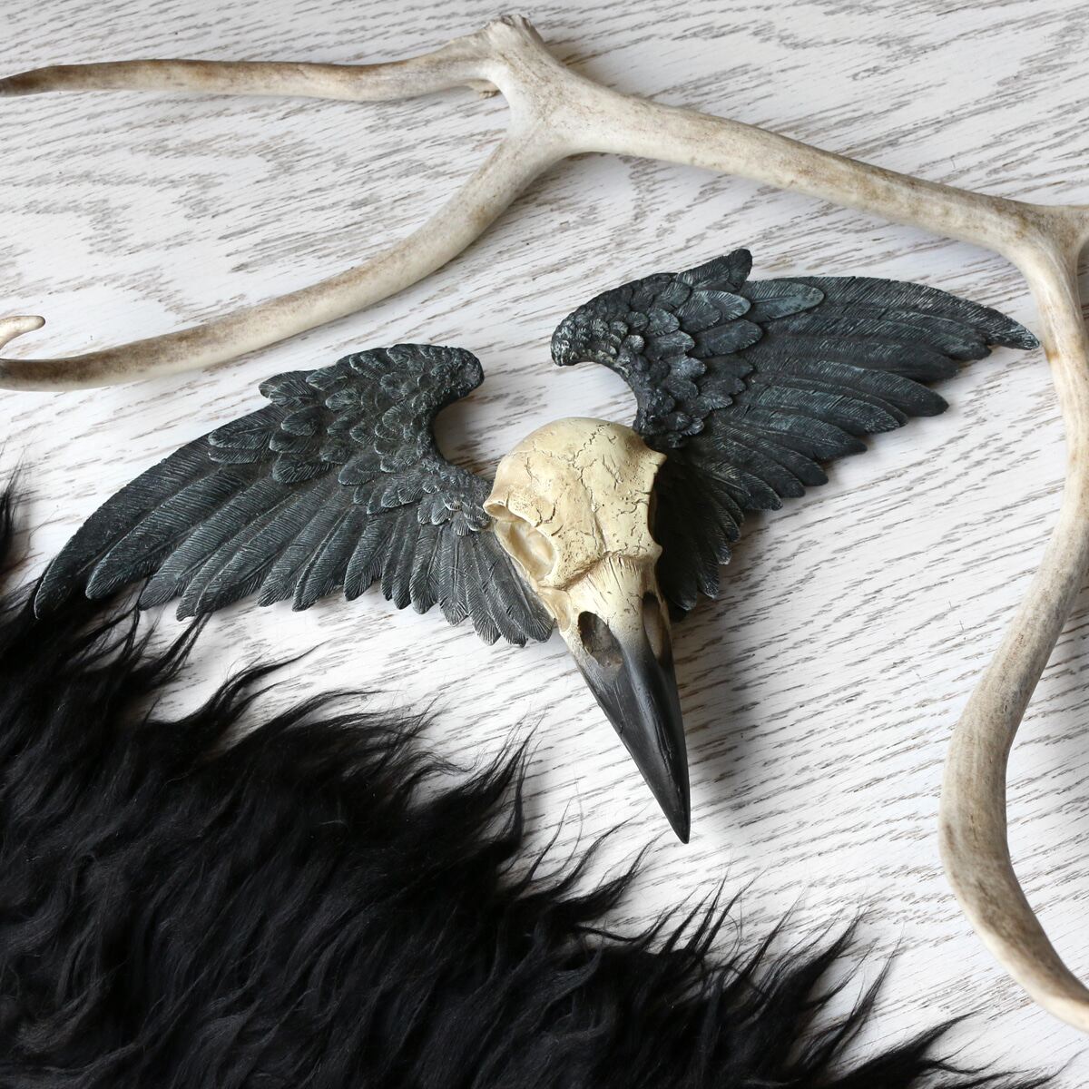 alchemy vault v52 ravenger wall plaque乌鸦头骨骷髅哥特挂饰