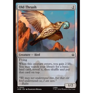 HOB 2 老鸫鸟 Old Thrush 万智牌 闪 C