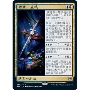 AFR 230 职业：盗贼 Rogue Class 万智牌 闪 R