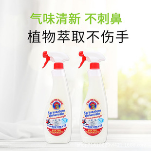 意大利大公鸡管家油污净厨房油烟机清洗剂喷雾家用去重油污600ml