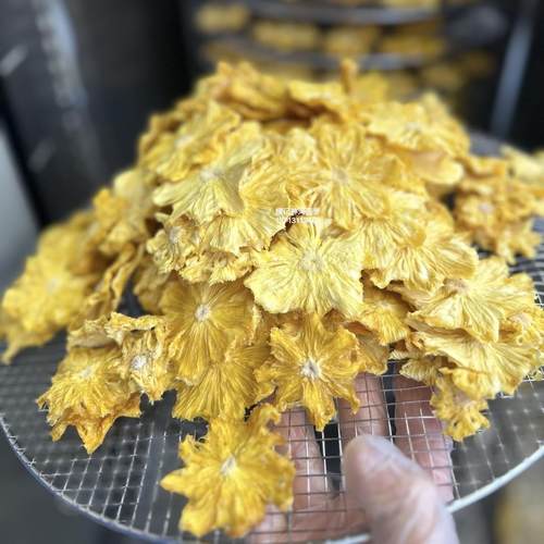 菠萝干低温烘干0添加神湾菠萝