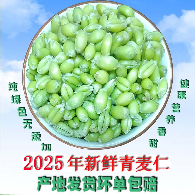 新鲜青麦仁麦粒粮食劲道爽口