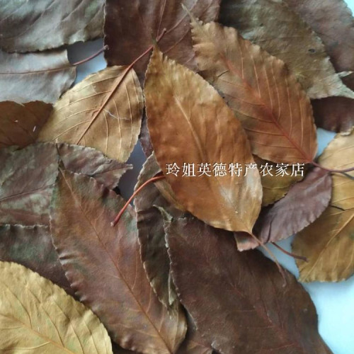 英德糖梨叶杜梨酸梨鸟梨豆梨赤梨