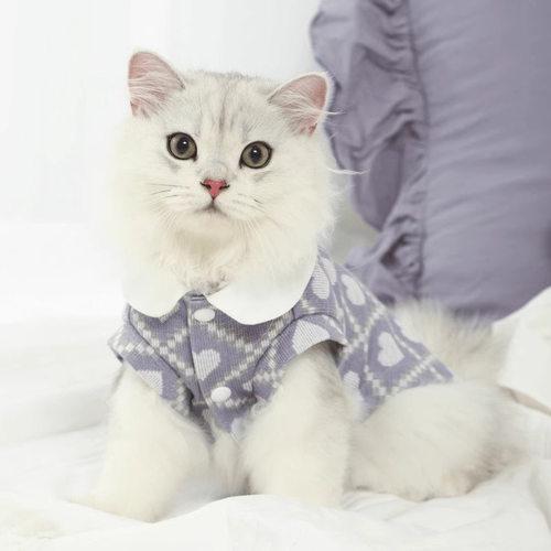 猫咪衣服防掉毛薄款宠物蓝猫渐层小猫布偶猫猫衣新年防掉毛服装