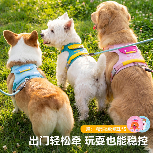 宠物牵引绳撞色防爆冲防挣脱胸背带牛津布小型犬反光可调节牵引绳
