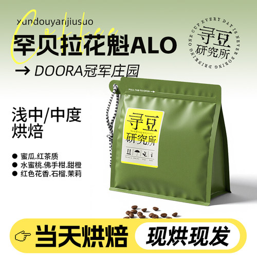 寻豆研究所 罕贝拉花魁ALO日晒G1水洗精品咖啡豆现烘咖啡手冲SOE