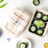网红6粒青团包装 盒子雪媚娘轻食甜点春游便当外卖蘸酱麻薯打包盒