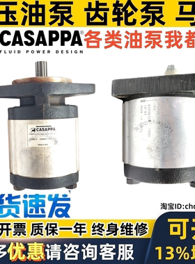 CASAPPA齿轮泵PLP30.38D0-04S5 PLP30.27S0 PLP 10. 1 5 20.8 D0