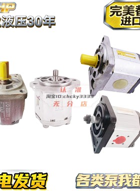 REXROTH-SIGMA液压齿轮泵1PF2G330/038RA07MS 1PF2G223/003RA01MS