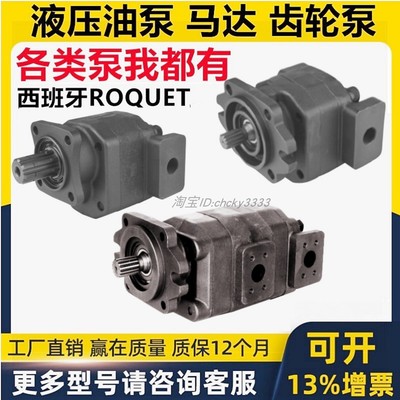西班牙ROQUET齿轮泵1PNC 1 3 4 PNA PNL PND PNT PNJ PNK PNH PNZ