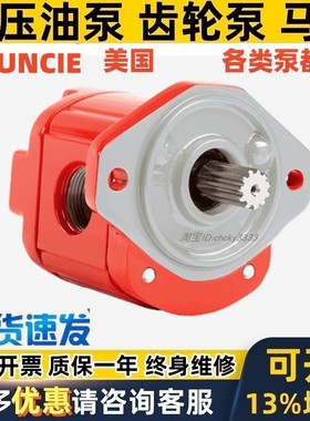 MUNCIE液压泵齿轮泵PF PH PL PK 1 W11 06 08 13 15 17 19 21 X27