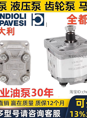 BONDIOLI齿轮泵HPLPA 160 331 136 206 208 214 DMNG DDDG DW4G E