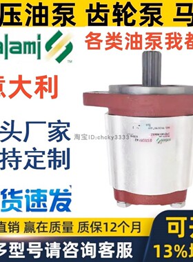 SALAMI齿轮泵2PE 8.3D 6.5D 11D 19D 12.5D 16D 22.5D 26D -R82S2