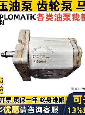 DUPLOMATIC油泵GP30207 GP30225 GP30776 876 514 600 R97F20N