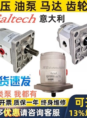 Galtech齿轮泵1SM-A-0 09 12 16 20 25 32 37 42 50 63 78 98 D S